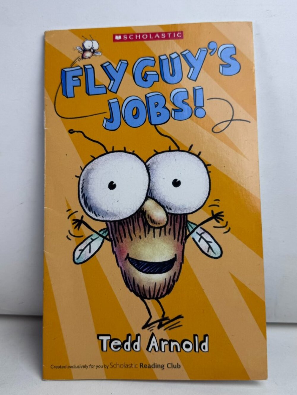Fly Guy's Jobs! (Fly Guy Series) Tedd Arnold Scholastic Hard-to-Find 2015 PB